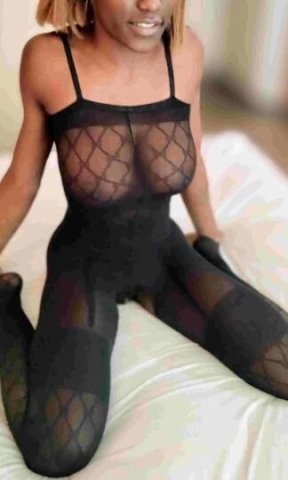 coco - 1