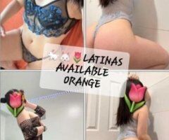 🌷🌷🌷🌷🌷🌷🌷 AVAILABLE 🌷🌷🌷🌷🌷🌷 - 25 - Image 2
