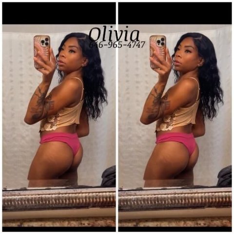 Olive the Mini Stallion - 1