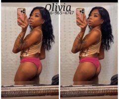 Fort Worth escorts - Olive the Mini Stallion