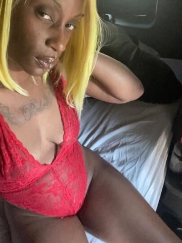 INCALL SPECIAL🔝😋 DEEP 🪠MOOSE 🫎 KNUCKLES 😺 TIGHT GRIP LIKE WIRE PLIERS🐐😈 - 1