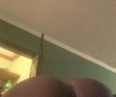 Qv Sylvester - Image 2
