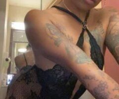 Nice Kitty 😉 - Image 2