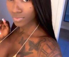 Daytona escorts - Ms Ts Sy'mia island girl 🥰 🌴