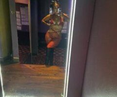 Sexy Stallion 😻 - Image 2