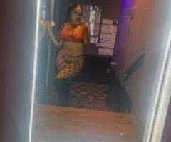 Sexy Stallion 😻 - Image 4