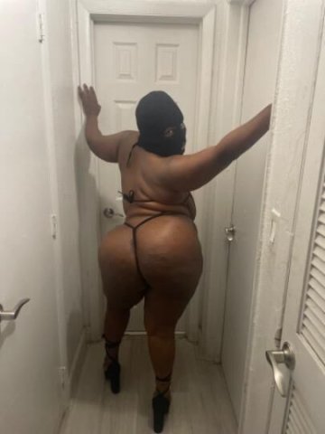WILD WEDNESDAY - 1