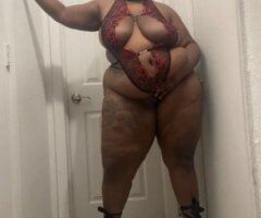 WILD WEDNESDAY - Image 2