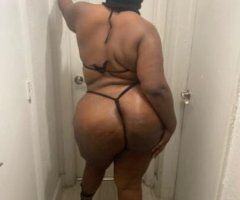 WILD WEDNESDAY - Image 4