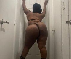 WILD WEDNESDAY - Image 5