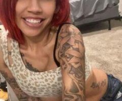 Tampa escorts - no incalls ever