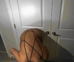 Hosting in Lakewood (Belmar) outs all over *AVAIL NOW* - Image 2