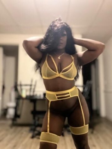 Sammie Baby Fan Favorite - 1