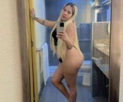 Sarasota/Bradenton escorts - Hey!!! You hot whore daddy