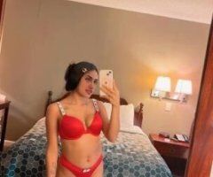 Sarasota/Bradenton escorts - Heyy!!!