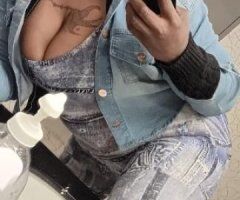 🐱🐱🐱come pet my kitty!! - Image 3