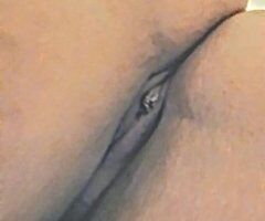 LATINA BOUNCEHOUSE - Image 4