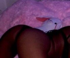 Central Jersey escorts - Sexy Petite Carmel Bunny Beat Throat Tight gripp sloppy and wet
