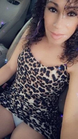 short, curvy, sexy, Bitch - 1