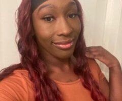 Gainesville escorts - Top