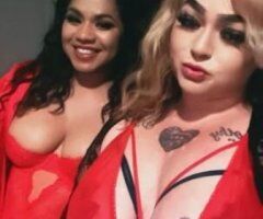 Greenville escorts - wild sexy and always fun