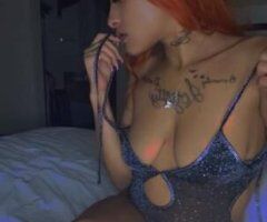 Waterbury escorts - new in the area come see me dupont hwy