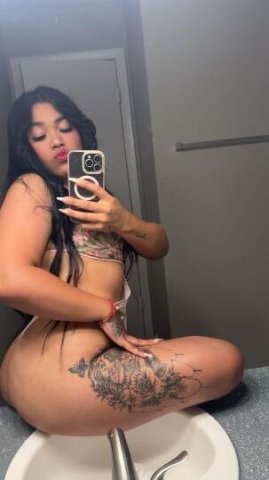 La gata - 1
