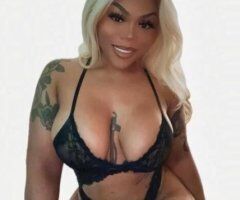 Providence escorts - Come play with Katt 🐱💦