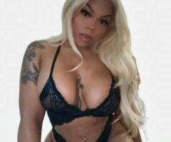 Come play with Katt 🐱💦 - Image 4