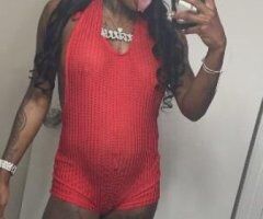 ms.petite champagne - Image 11