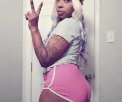 $60 early bird special 2 2 5 2 3 9 3 7 4 6 - Image 4