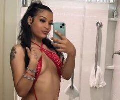 your favorite exotic ❤ - Image 5