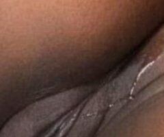 three chocolate kittens fresh out the shower 🍫 🍫 🍫 🐈 🐈 🐈 🐈 🐈 🐈 🐈 🐈 in queens looking the party come over and have a good time - Image 7
