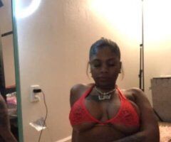 ✨✨✨✨Best 💕Exotic 💕Ebony 💕In Town Miss💕 Winter✨✨✨✨ - Image 6