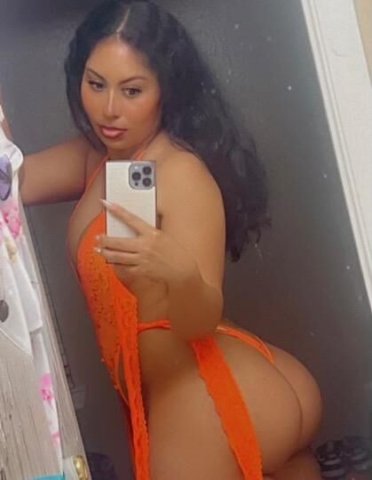 Exotic companion - 1