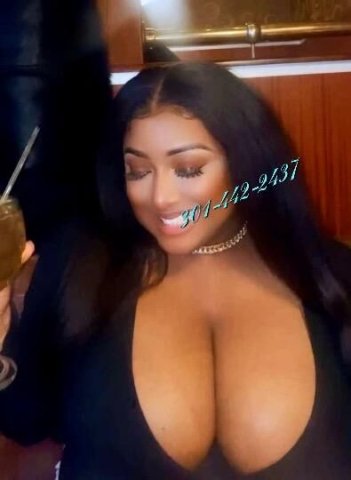 VISITING 11/25- 11/28 ꧁🏆꧂ 𝑩𝒂𝒅𝒅𝒆𝒔𝒕 𝒊𝒏 𝒕𝒉𝒆 𝑪𝒊𝒕𝒚 ⚜ 𝑷𝒉𝒂𝒕 𝑨𝒔𝒔 𝑺𝒒𝒖𝒊𝒓𝒕𝒚 𝑲𝒊𝒕𝒕𝒚 ꧁🏆꧂ ✔🆁🅴🆅🅸🅴🆆🆂 - 1