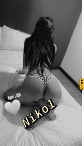 nikol - 1