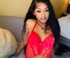 🔝Tier 😻Petite 💦Pretty💦❣Everything💧You 😻Need💦 - Image 3