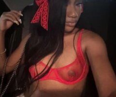 ✨Pretty Petite & FUN!!✨ - Image 4