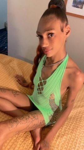 🗣 SPECIALS SPECIALS ‼ Yours Truly The Sexii Amazon Petite 😝💃🏽 Goddess Back In Town 🤪🤑 INCALLS ONLY 🤳🏽 - 1