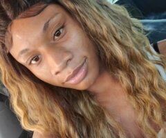 Freak Nasy Extravaganza - Image 11