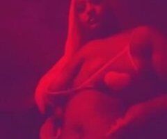 BWW paradise - Image 1