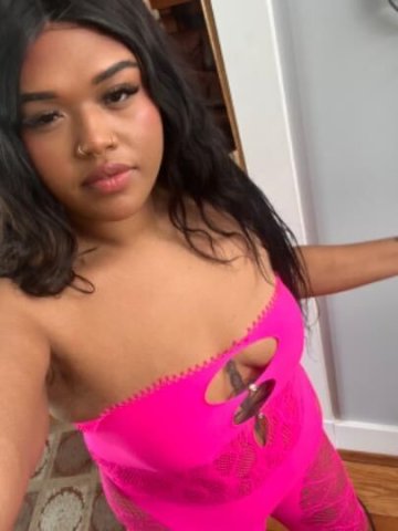 Caribbean Cutie || RARE Availability - 1