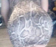 Playful Pleasing Pleasure - Image 2