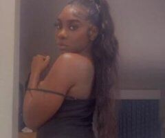 CHOCOLATE BUNNY (New Updated Pics) - Image 2