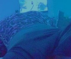 COUNTRY BACKROADS...TROY TN UNION CITY TN.Light bright with suductive eyes 👀 grip able ass i am not the last ir your past come see me and have a blast - Image 7