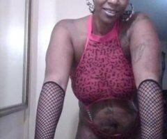 West Palm Beach escorts - ABRACADABRA ALAKAZAM MAKE YOUR CUM DISAPPEAR