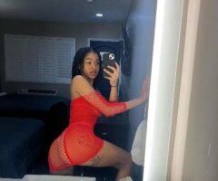 Las Vegas escorts - Your new obsession