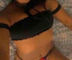 Exotic Westie😻 Available for In/out🥴🥵 - Image 6