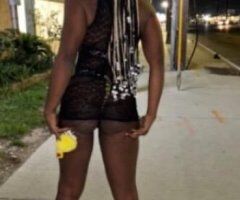 New Orleans escorts - MY PRICE IS MY PRICE ($$ 2 GIRL SPECIAL 🚫)